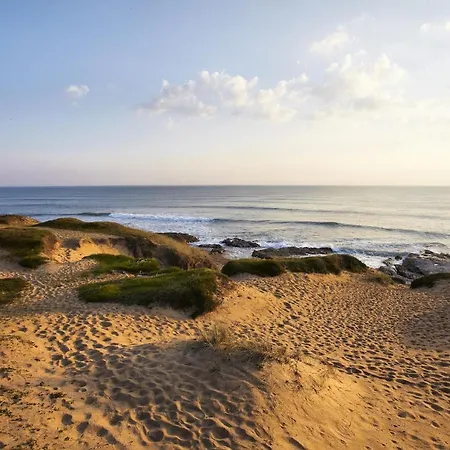 Le Ponton Bleu Vue Face Au Port Saint-Gilles-Croix-de-Vie