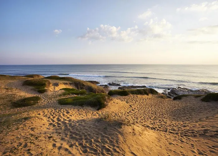Le Ponton Bleu Vue Face Au Port Saint-Gilles-Croix-de-Vie